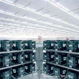 AMD產能困局 未來六個月步入風險峽谷，畫面處理器面臨嚴峻考驗